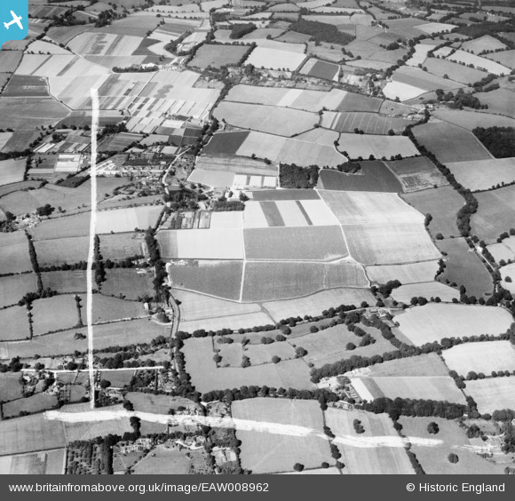 EAW008962 ENGLAND (1947). A. G. Linfield's Abingworth Nursery ...