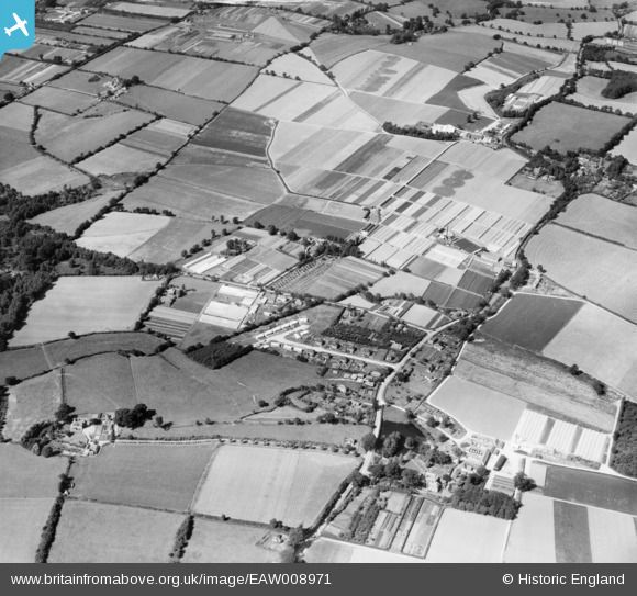 EAW008971 ENGLAND (1947). A. G. Linfield's Chesswood Nursery (mushrooms ...