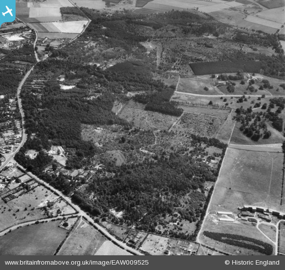 EAW009525 ENGLAND (1947). Gunthorpe Hagg Wood and Newstead Park ...