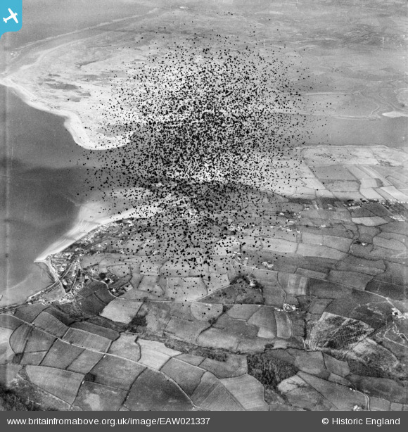 EAW021337 ENGLAND (1949). Instow, the River Taw and environs, Instow