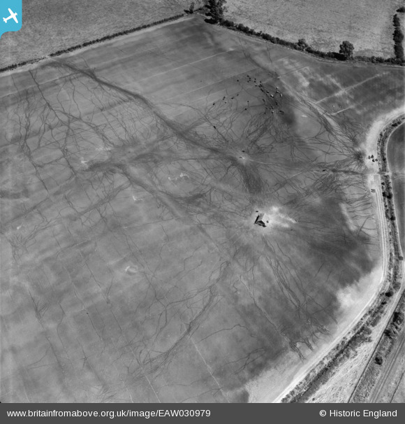 EAW030979 ENGLAND (1950). Cattle tracks in a field alongside the