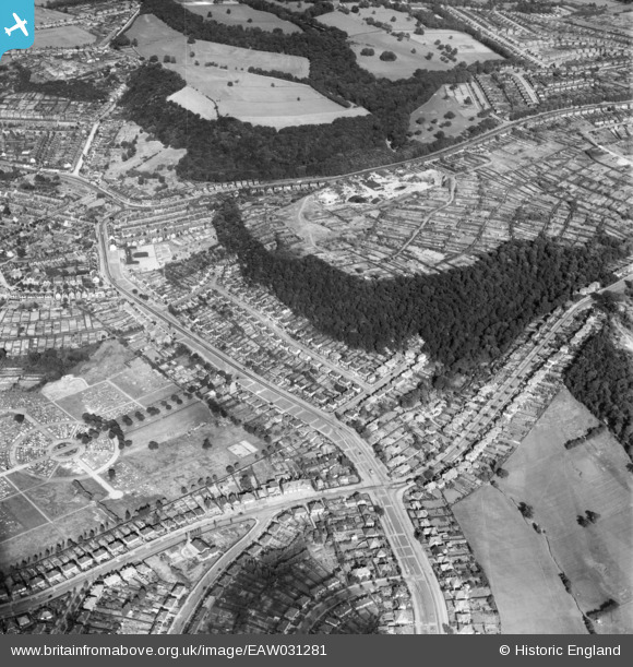 eaw031281 ENGLAND (1950). Abbey Lane, Chancet Wood and environs, Meadow