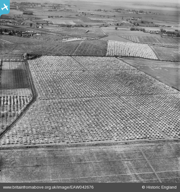 EAW042676 ENGLAND (1952). Orchards around Plum Pudding Lane, Dargate