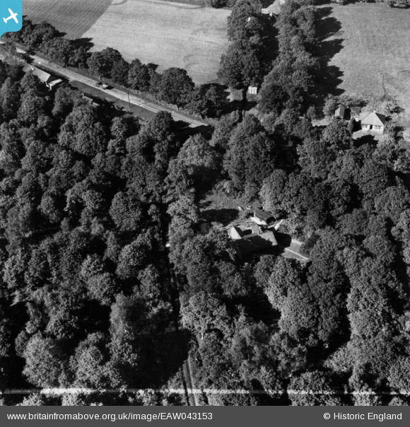 EAW043153 ENGLAND (1952). Harbolet's Corner and Harbolet's Copse, West