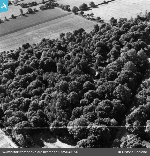 EAW043156 ENGLAND (1952). Harbolet's Corner and Harbolet's Copse, West