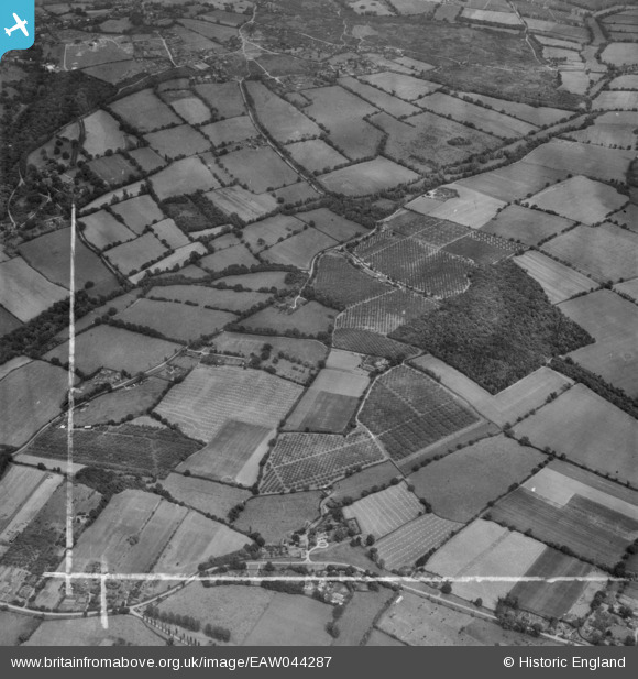 eaw044287 ENGLAND (1952). Orchards around Butt's Green Farm and Thorn ...