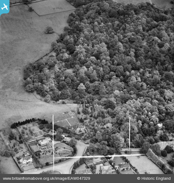 EAW047329 ENGLAND (1952). Wood Lodge, Greenbank and Homewood at Coppy