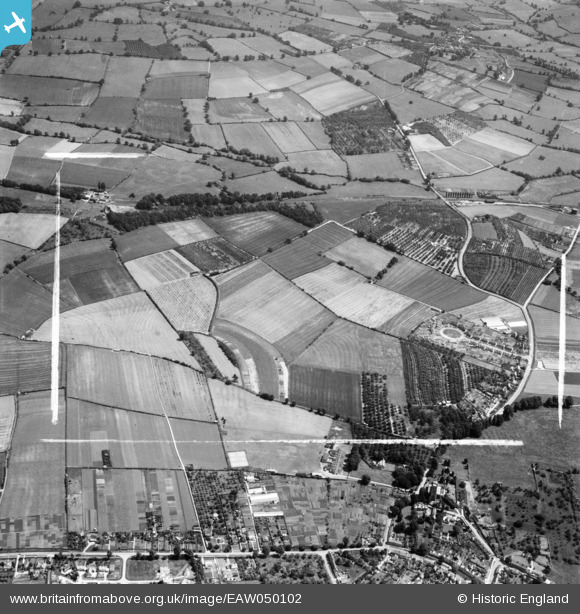 EAW050102 ENGLAND (1953). Orchards around Whaddon Grange, Chipping ...