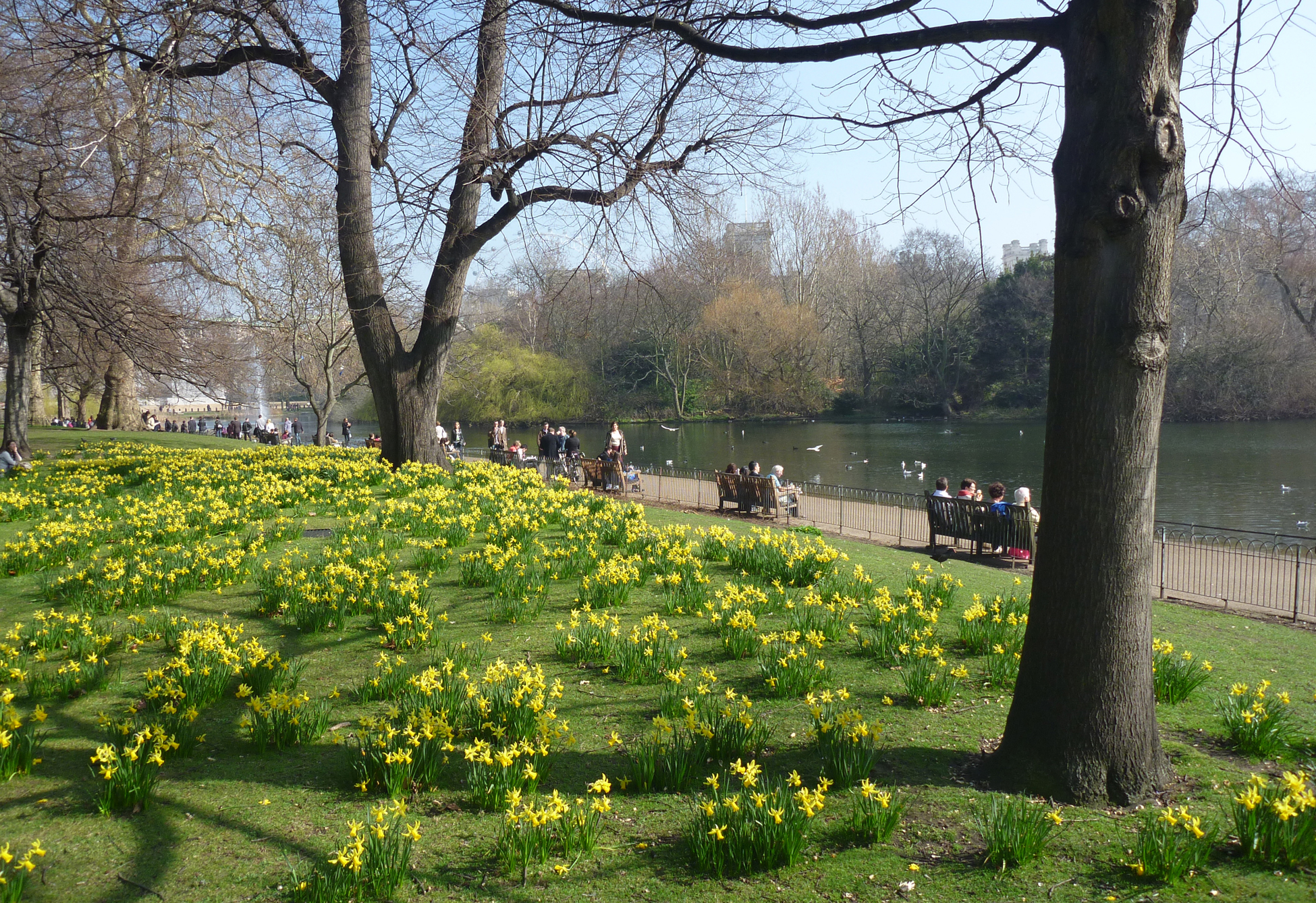 St james s park